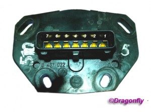 DPDZ_web-300x224